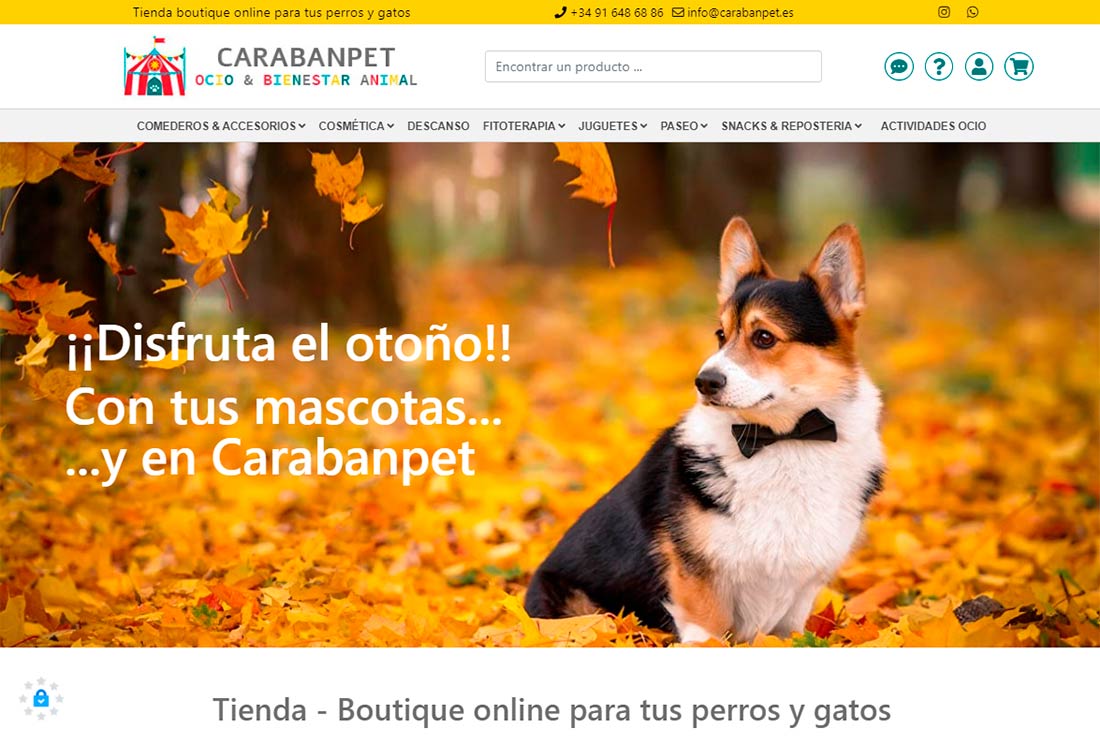 Tienda online en Carabanchel, Madrid: Carabanpet. Nueva referencia de Azaelia